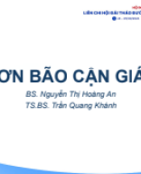 C4.5. [HCM-ADE] CƠN BÃO CẬN GIÁP - Nguyễn Thị Hoàng An.pptx.pdf