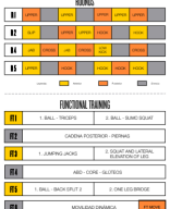 BF Challenge 262 ES.pdf