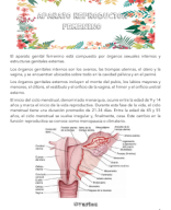 Clase 7-Aparato reproductor femenino y mama.pdf