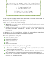 Clase 12-Sistema tegumentario y lesiones elementales.pdf