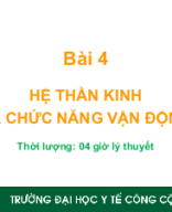 BÀI 4- Hệ thần kinh và chức năng vận động_2024_Sau HĐ.ppt