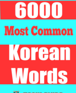 6000 Most Common Korean Words - For All TOPIK Levels.pdf