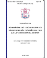 10. (RHM) Đánh giá hình thái và số lượng ống tủy răng hàm nhỏ trên phim chụp cắt lớp vi tính chùm tia hình nón Phạm Khánh Linh..pdf