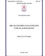 07. (RHM) Hiệu quả mở thông nang xương hàm ở trẻ em scoping review Trần Phương Thảo..pdf