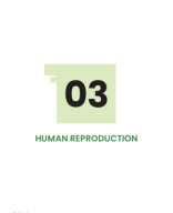 HUMAN REPRODUCTION.pdf