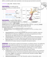 TP02 Patologia endócrina