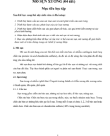 3.2. Handout MÔ SỤN - XƯƠNG.pdf