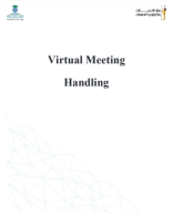 Handling Virtual Meetings Handout.pdf