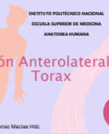 Region anterolateral torax, posterior y mama2024.pdf