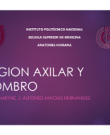 REGION AXILAR Y HOMBRO 2024.pdf