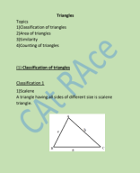 CAt RAce Geometry1.pdf