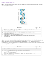 PHẦN II CÂU HỎI ĐÚNG SAI DNA VÀ TÍNH TOÁN DNA  - HS.docx