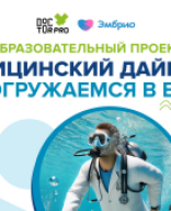 Презентация - Веб 2 — Акулич - 2024.pdf