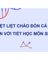 bài 2. Phương pháp tách chiết DNA.pdf