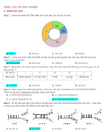 PHẦN I CÂU HỎI TRẮC NGHIỆM NHÂN ĐÔI DNA VÀ ỨNG DỤNG NHÂN ĐÔI DNA - GV.docx