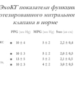 Презентация ЭХОкг (Кузнецова Л.М.).pdf