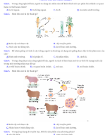 DỀ CÂU HỎI TRẮC NGHIỆM CNTB.docx