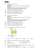 14. RESPIRATION IN PLANTS.pdf