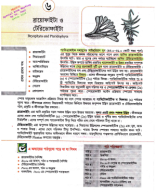 6. Bryophyta And Pteridophyta Azibur Sir 11th 2024.pdf