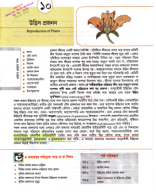 10. Reproduction Of Plants Azibur Sir 11th 2024.pdf