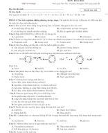 Lớp 12. Đề giữa kì 1 (Đề số 6).docx