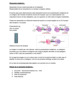 Clase 12 - Respuesta alogénica en trasplante. (V4)