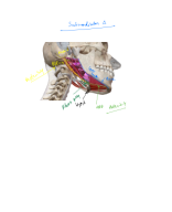 Submandibular region.pdf