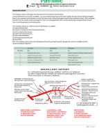 8. Max artery, Max nerve, Facial nerve,Ganglion.pdf