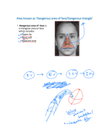 Dangerous area of Face.pdf