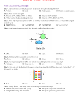 PHẦN I - CÂU HỎI TRẮC NGHIỆM DNA VÀ TÍNH TOÁN DNA - HS.docx