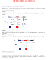 PHẦN III - CÂU TRẢ LỜI NGẮN -   GENE PHIÊN MÃ VÀ DỊCH MÃ - HS.docx