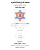 Mathematics I Lab Report.pdf