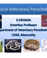 General Parasitology.pdf