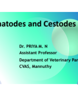 Trematodes and Cestodes ppt PSC class.pdf