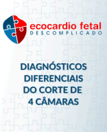 MATERIAL COMPLEMENTAR CORAÇÃO FETAL - 4 CÂMARAS.pdf