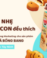 [TẦM NHÌN THƯƠNG HIỆU 2024]_MUỐI TÔM TÂY NINH_VÒNG 2 - Nguyễn Ngọc Minh Anh.pdf