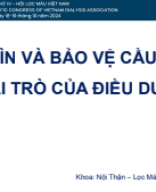 1.11. Vũ Thị Hoa - BVTN - Giữ gìn và bảo vệ cầu nối AVF - Vai trò của điều dưỡng.pdf