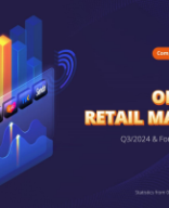 [METRIC] Online retail market report Q3.2024.pdf