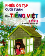 PHIẾU ÔN TẬP TIẾNG VIỆT LỚP 5.pdf