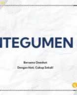 12. Oneshot - Complete Class Integumen 1.pdf