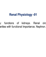 Kidney, Nephron  & Renal circulation.pdf