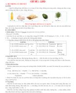 CHỦ ĐỀ 1. LIPID (File HS).docx