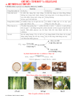 CHỦ ĐỀ 3. TINH BỘT VÀ CELLULOSE (File HS).docx