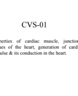 Cardiac muscle.pdf