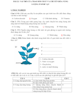 BÀI 22 - KHTN7 - CTSTxST.docx