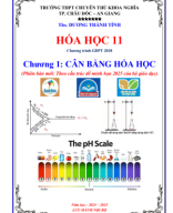 CHUONG 1 HOA 11 NAM 2024-2025.DTT. GIAI.pdf