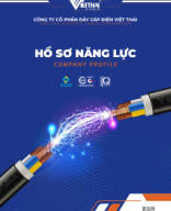 Hồ sơ năng lực Công ty cổ Phần dây Cáp điện Việt Thái.pdf