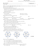 Lớp 10. Đề giữa kì 1 (Đề số 1).docx