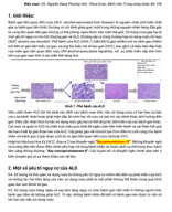 Bệnh gan liên quan đến rượu - ACG 2024.pdf