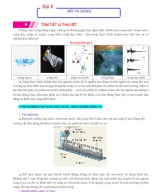 08 - KNTT - MÔ TẢ SÓNG - HỌC SINH.docx